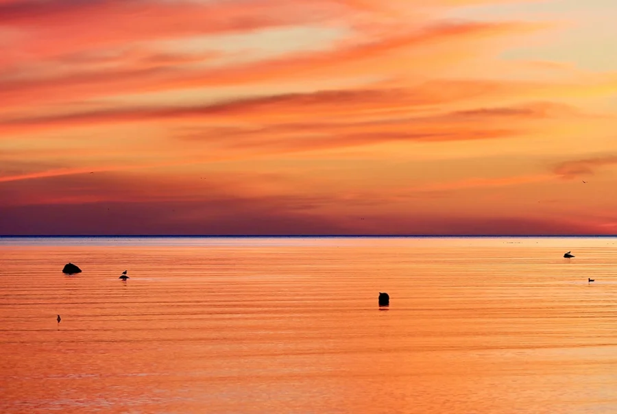 cape cod sunset, cannabis delivery location