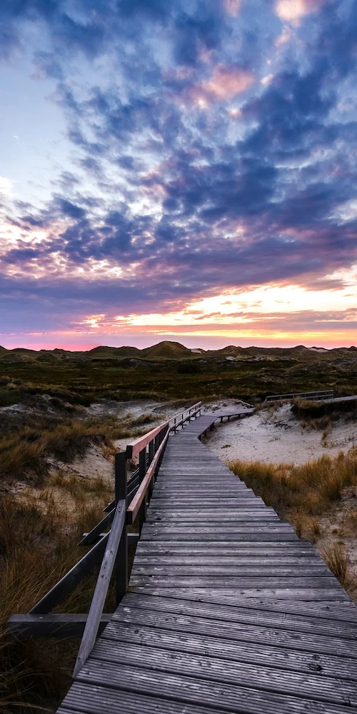a walk on the beach and free Cannabis Delivery in Sandwich MA