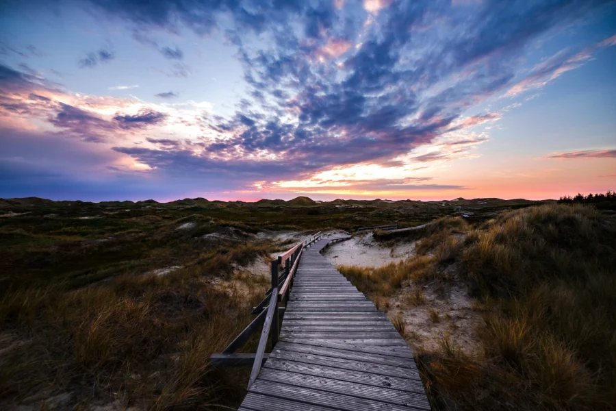 a walk on the beach and free Cannabis Delivery in Sandwich MA