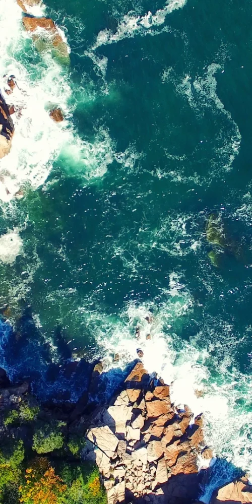 new england coast cannabis delivery