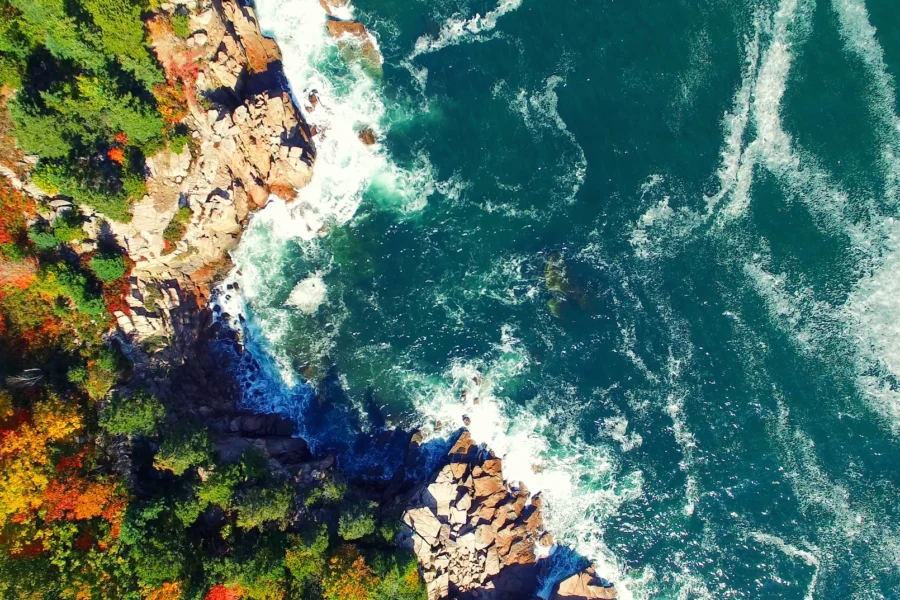 new england coast cannabis delivery